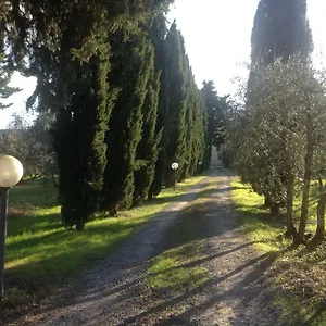 Homestay Sunshine, Florence
